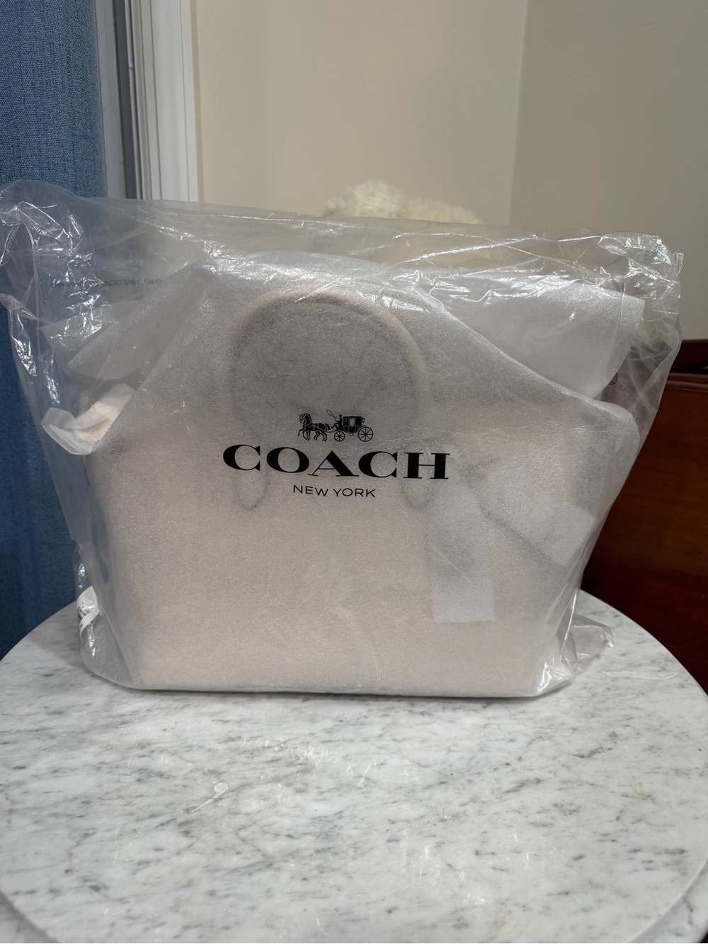 COACH Cara Soft Pebble Leather Crossbody Satchel Chalk